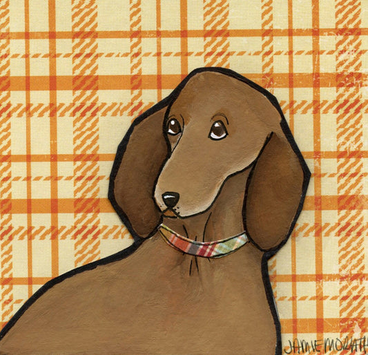 plaid Weenie, dachshund dog art print
