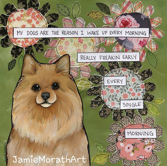Every Morning, Pomeranian dog wall art print